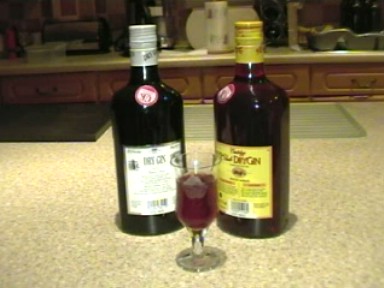 Damson Gin