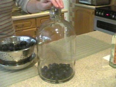 put in demijohn