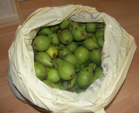 pears