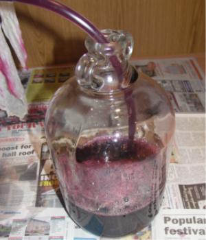 siphon into demijohn